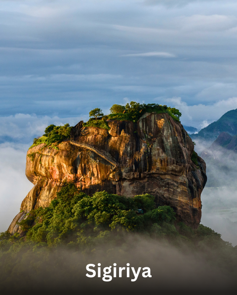 Reyash Tourism Website (11)