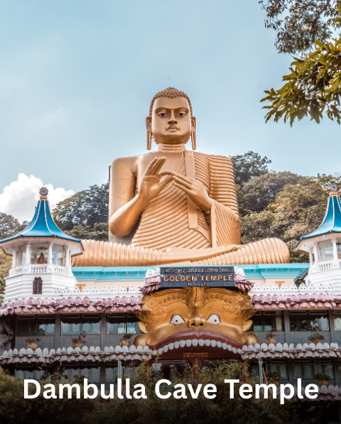 Reyash Tourism Website (12)