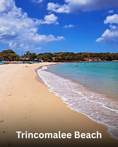 Reyash Tourism Website (13)