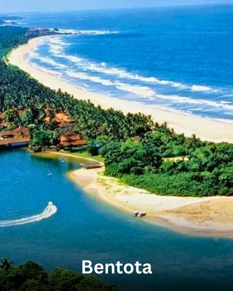 Reyash Tourism Website (14)