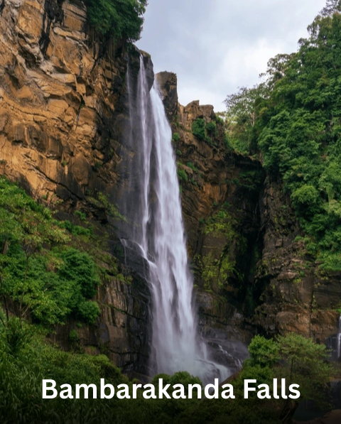 Reyash Tourism Website (15)