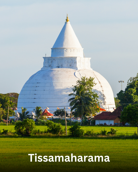 Reyash Tourism Website (16)