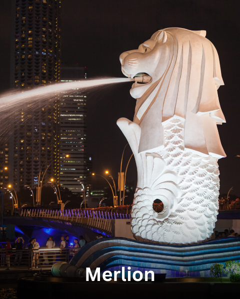 Reyash Tourism Website (17)