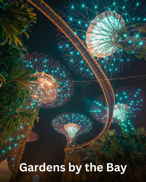 Reyash Tourism Website (19)