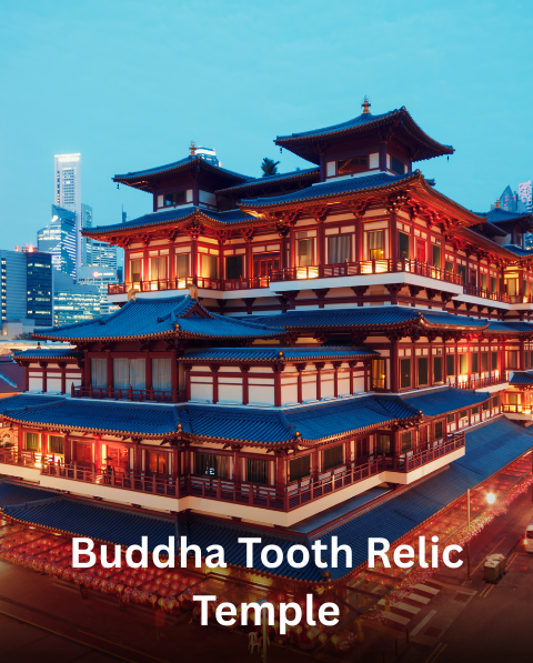 Reyash Tourism Website (21)