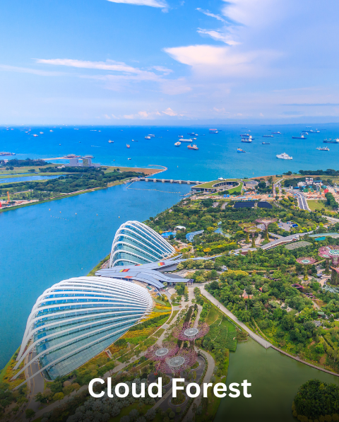 Reyash Tourism Website (22)