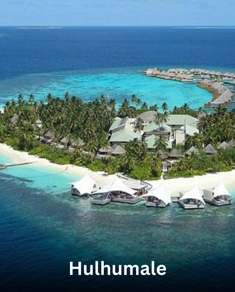 Reyash Tourism Website (23)