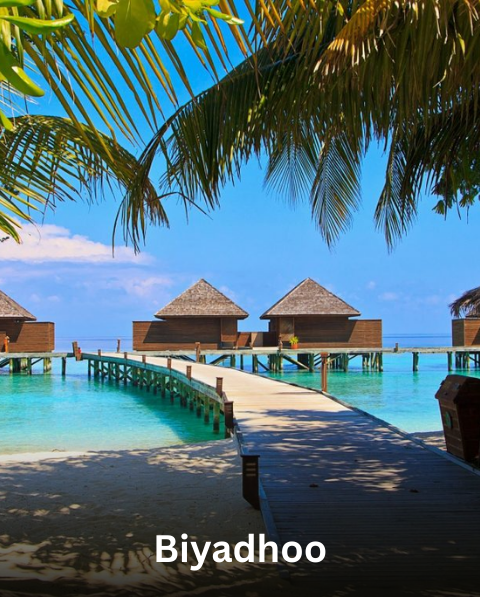 Reyash Tourism Website (26)