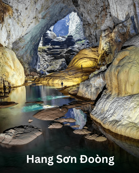 Reyash Tourism Website (32)