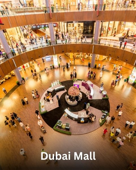 Reyash Tourism Website (44)