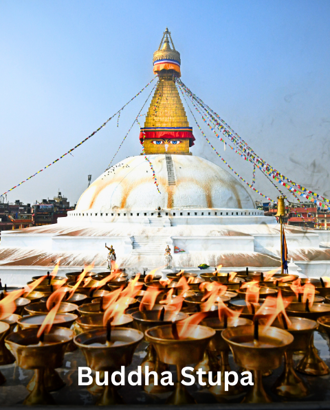 Reyash Tourism Website (5)