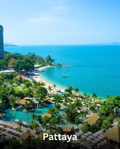 Reyash Tourism Website (56)