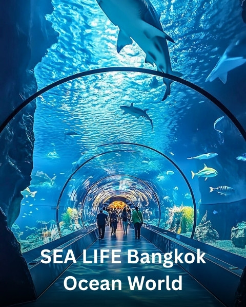 Reyash Tourism Website (60)