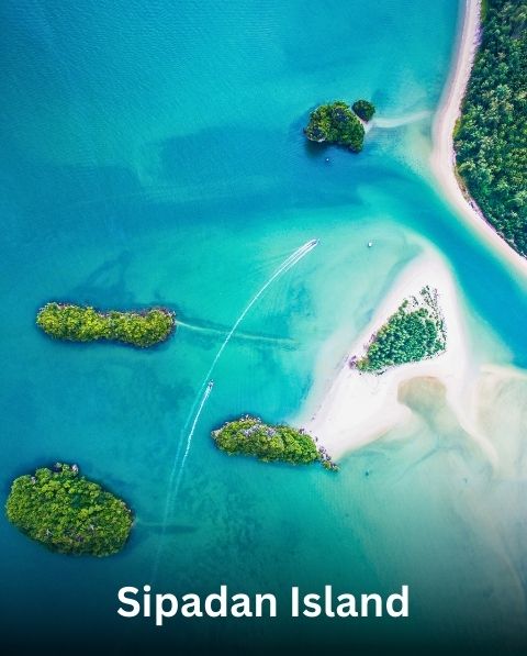 Reyash Tourism Website (65)