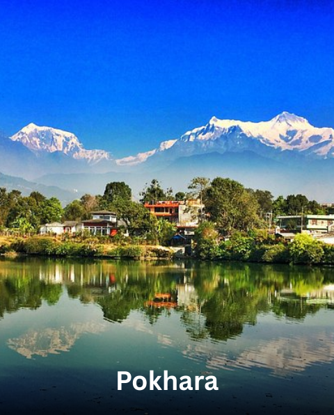 Reyash Tourism Website (7)