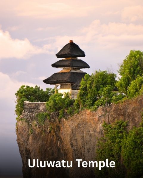 Reyash Tourism Website (70)