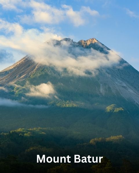 Reyash Tourism Website (71)