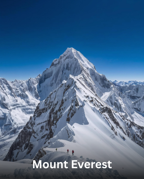 Reyash Tourism Website (8)