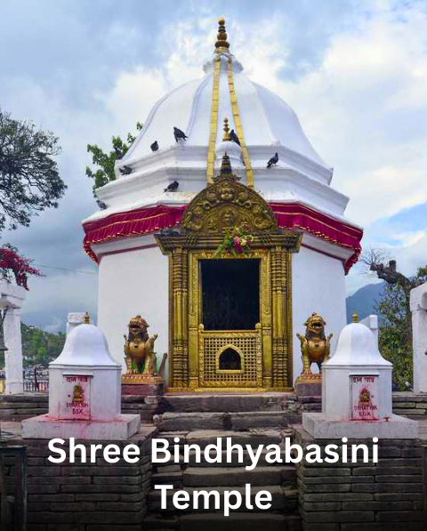 Reyash Tourism Website (9)